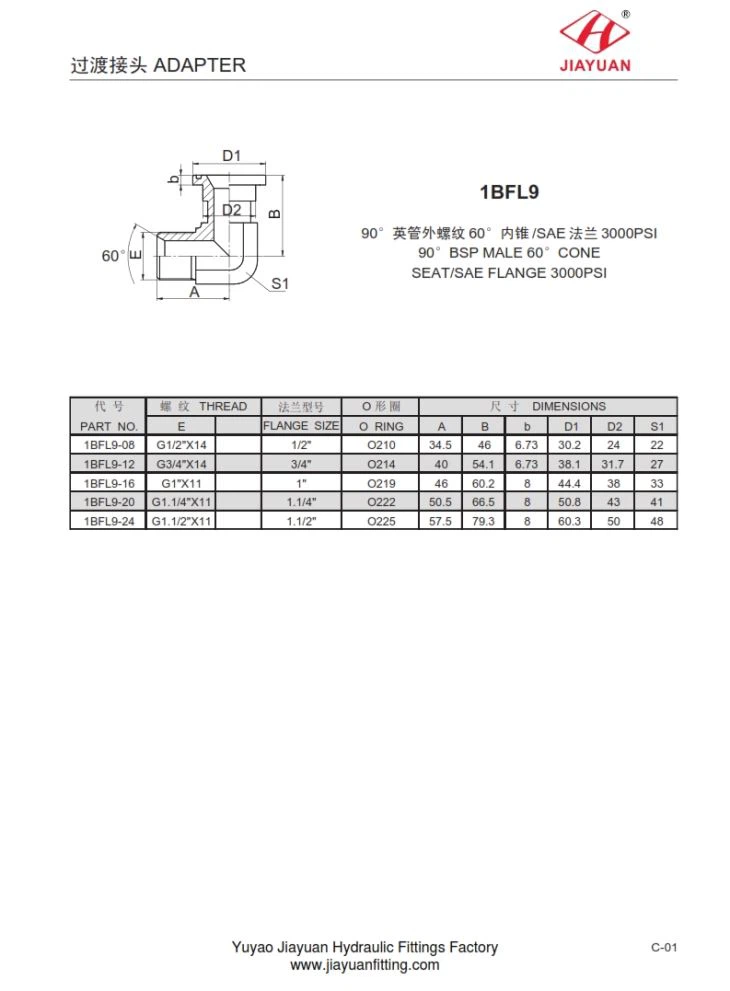 SAE 3000 Flange Elbow BSP 60 Adapter