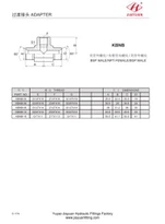 BSP Pria 60 NPT Tee Wanita