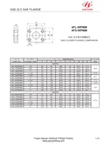 SAE Blind Flange Kepala O-ring